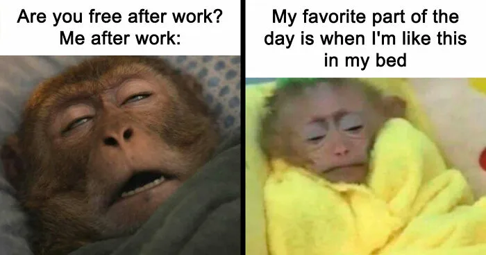 83 Memes That Are Funny Because People Find Them A Little Too Accurate To Their Lives