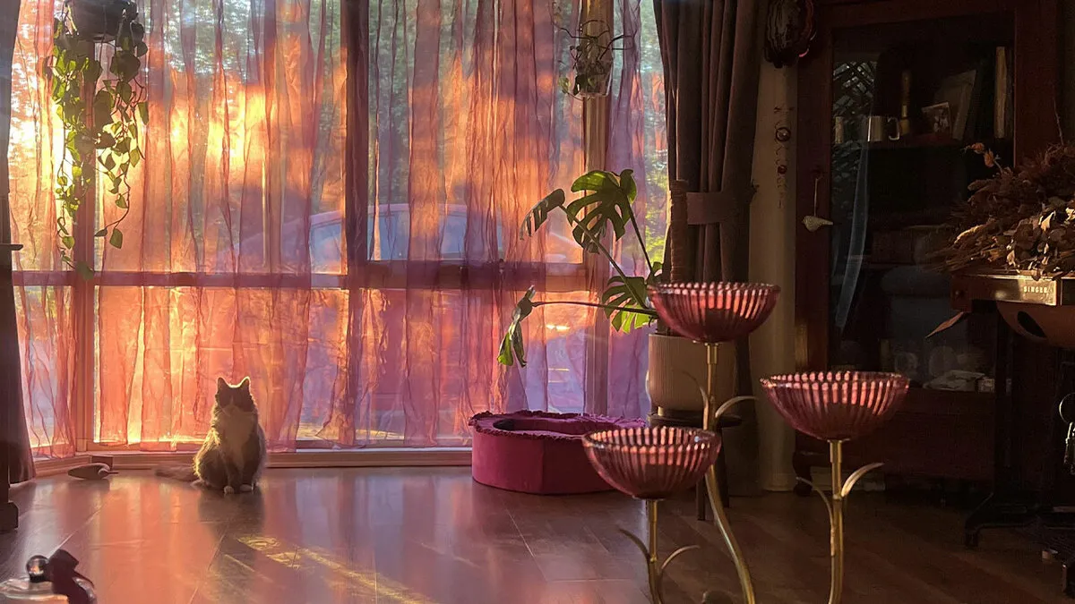 94 Times People Decided To Redecorate Their Home And The Results Were Absolutely Stunning
