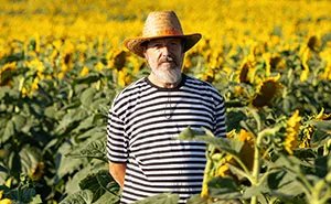 HOA Makes Man Dig Up His Sunflowers, Then Lets Him Replant Them Just To Get Rid Of His Giant Corn