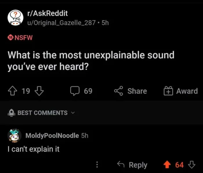 Reddit meme on unexplained sounds with a witty comment about explaining it