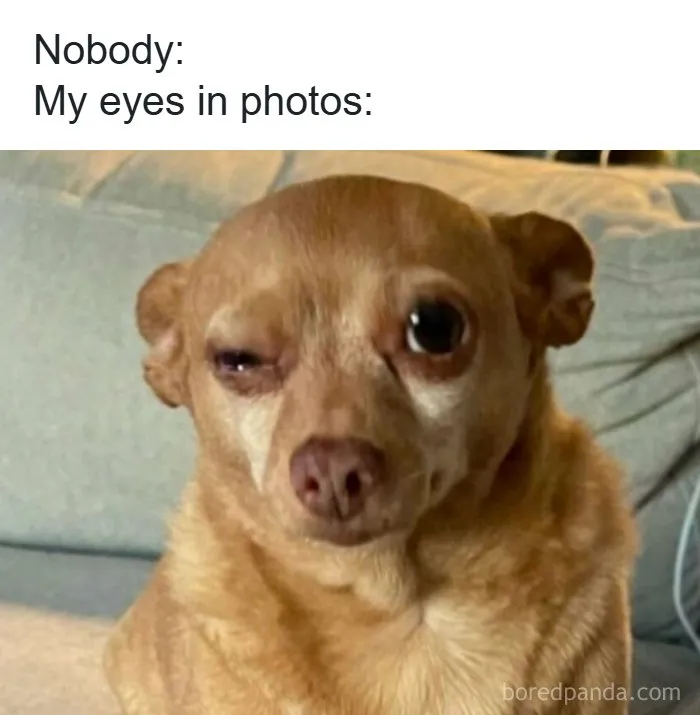 A brown dog squinting with one eye closed in one of the spot-on memes about bad photos.