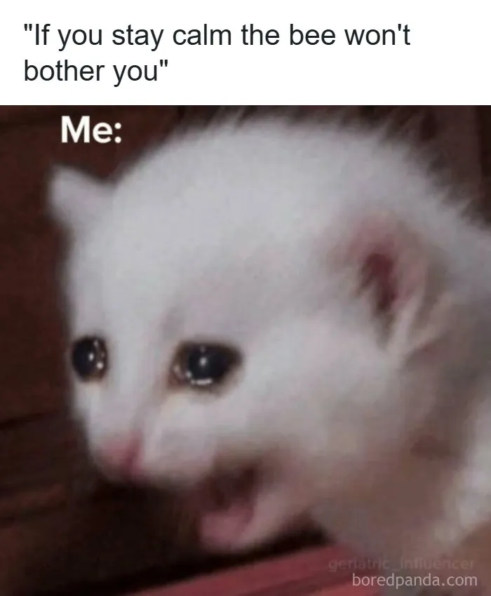 Funny-Memes-Images-Relatable