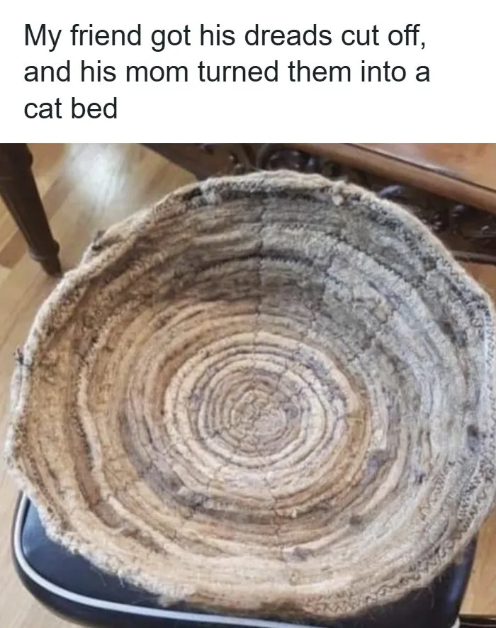 Bizarre DIY projects of a round cat bed woven from a person's cut-off dreadlocks