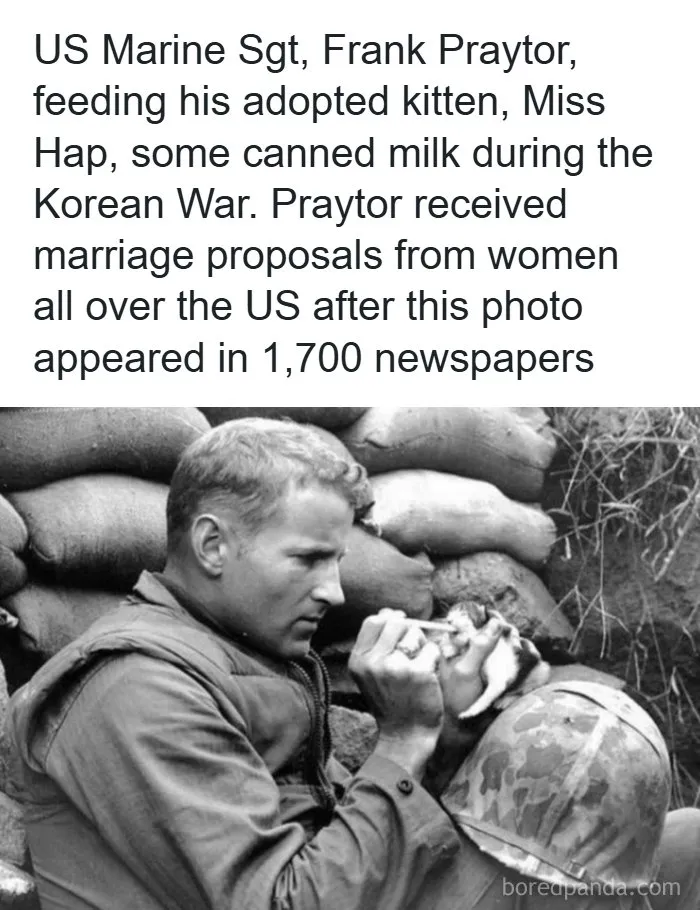 Historical photo of a US Marine feeding a tiny kitten showing interesting facts from around the world
