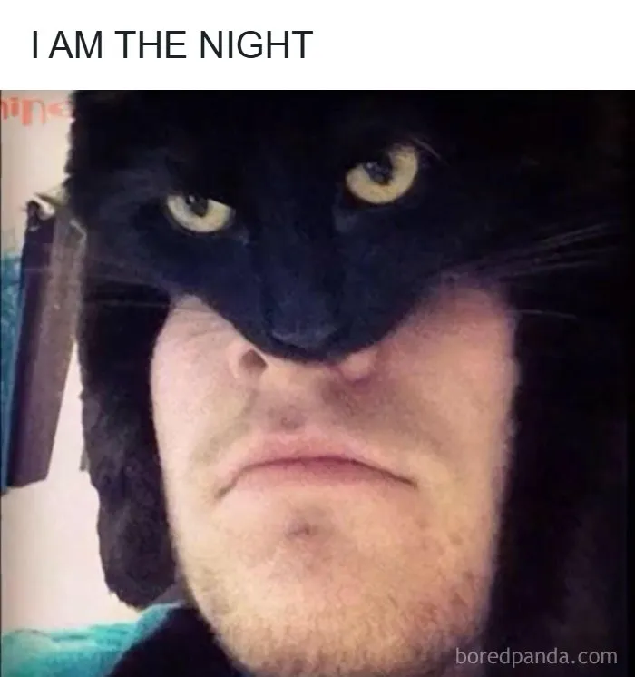 A black cat resting on a person face like a mask, part of a wholesome memes collection.