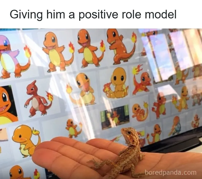 A tiny pet lizard sitting on a hand in front of Charmander pictures from wholesome memes.