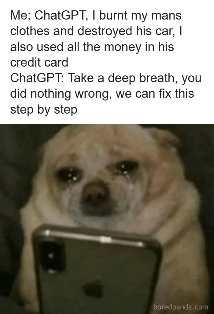 A meme showing a sad chihuahua crying while looking at a smartphone, illustrating a humorous conversation with ChatGPT.