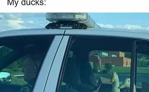 53 Memes That Call Out Everyone At Once, And You Might Be Surprised By Just How Many Apply To You