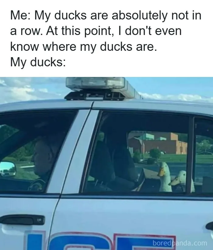 Funny-Memes-Images-Relatable