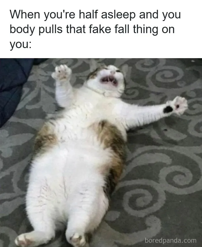 Accurate meme of a startled cat lying on its back after a fake falling sensation.