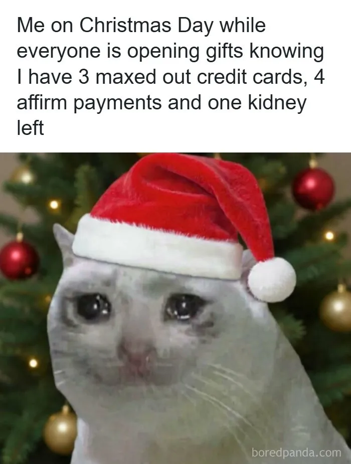 Spot-on Christmas meme showing a teary-eyed cat in a Santa hat representing holiday spending stress.