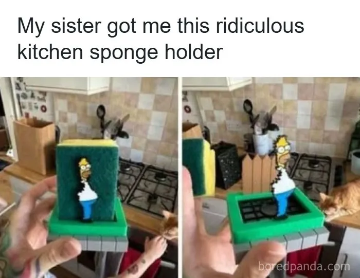 Fun and interesting photos of a Homer Simpson sponge holder mimicking the iconic bush meme.
