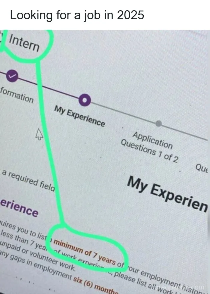 A job application form for an intern position requiring a minimum of 7 years experience as part of recruiting fails.