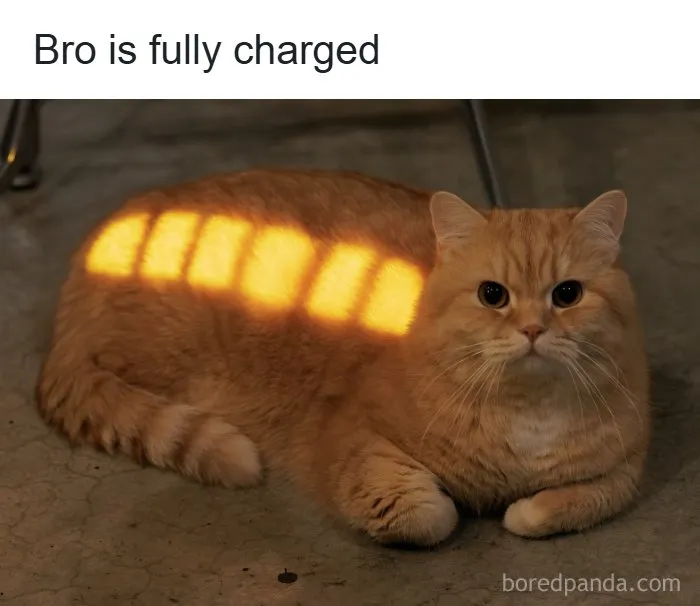Wholesome memes image of an orange cat lying down with sunlight making it look fully charged.