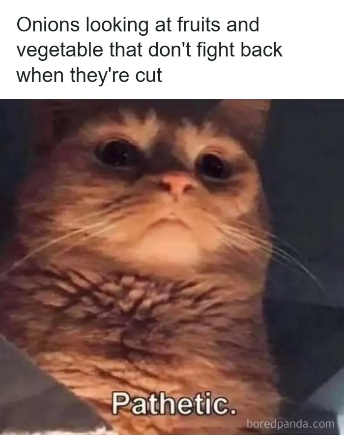 Funny-Memes-Images-Relatable