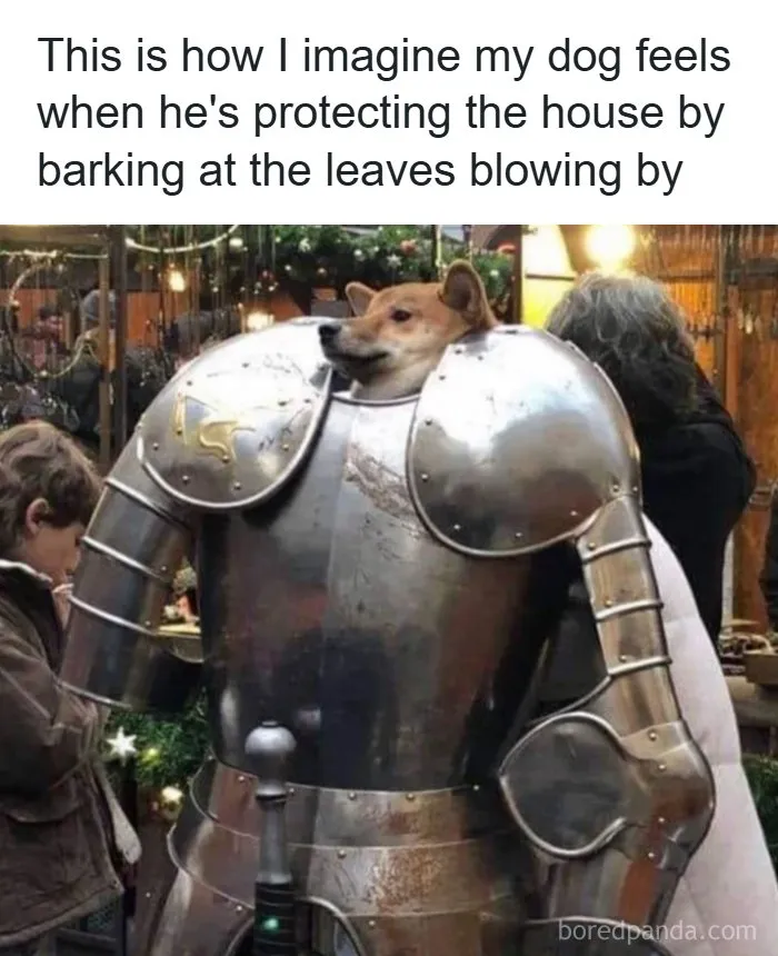 A dog head poking out of knight armor in a wholesome memes post.