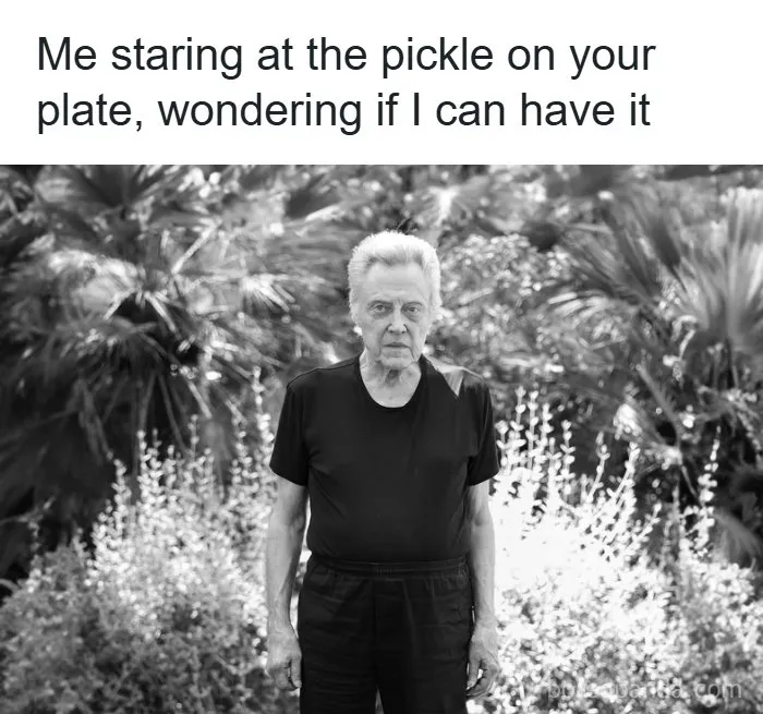 Man staring at pickle on plate in relatable memes collection
