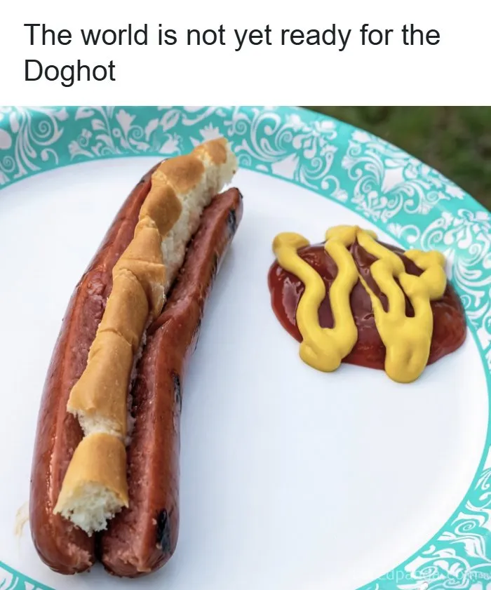 A reversed hot dog with bread inside the sausage in absurd internet posts.