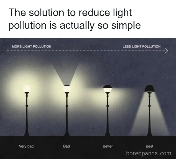 A diagram showing streetlights and light pollution solutions, showing interesting facts about the world