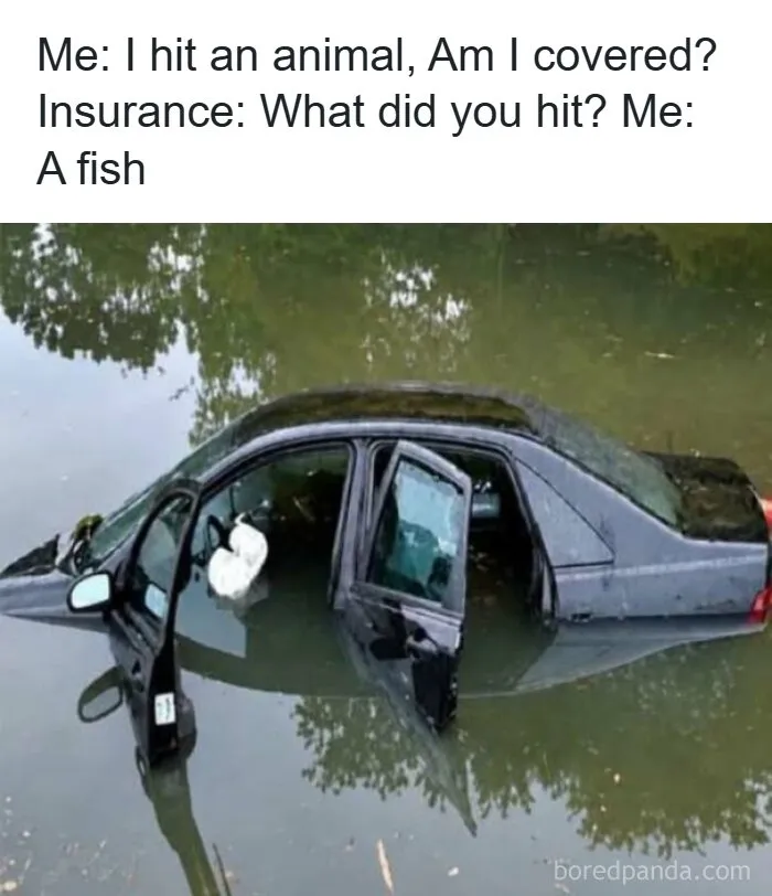 Strange pics of a car submerged in water with a meme caption about hitting a fish.