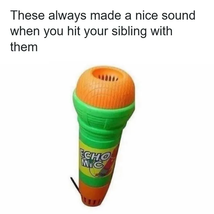 Echo Mic toy recalled with nostalgic British dry humor