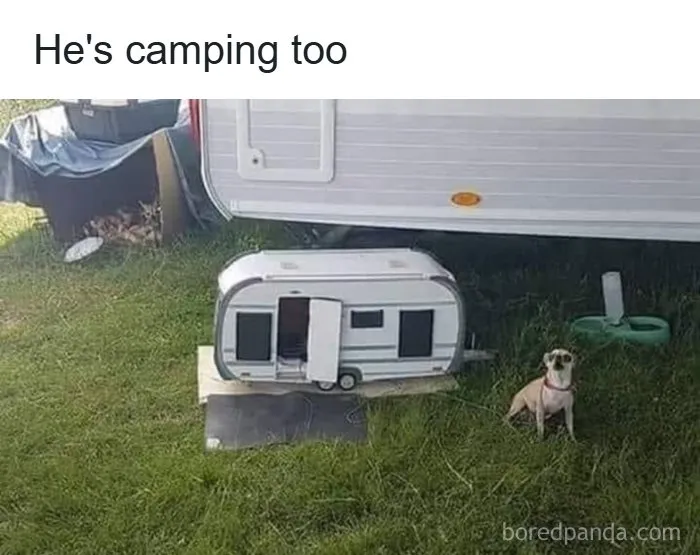 Small dog sitting next to its tiny miniature camper trailer in a wholesome memes post.