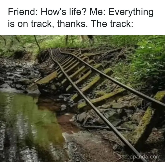 Accurate memes showing train tracks warped and collapsing into a forest stream.