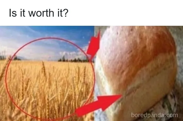 Absurd internet posts with a humorous diagram comparing a field of wheat to a loaf of bread.