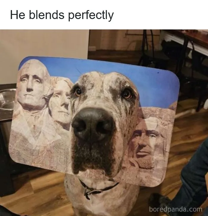A dog poking its head through a Mount Rushmore placement mat, featured in wholesome memes.