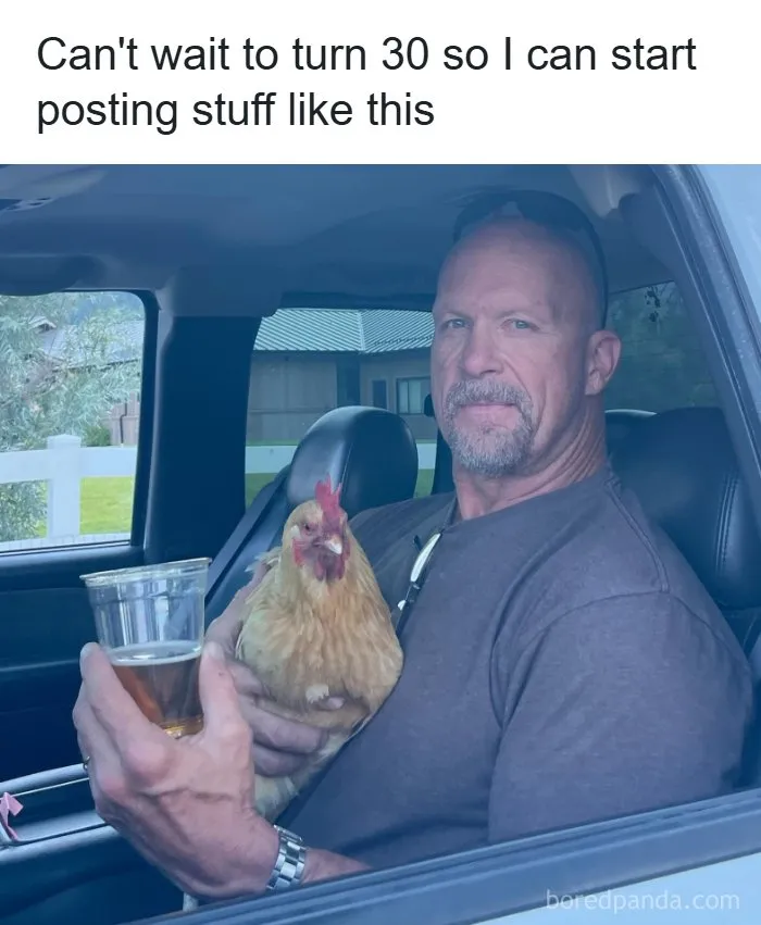 Relatable memes with Stone Cold Steve Austin sitting in a truck holding a chicken and a drink.