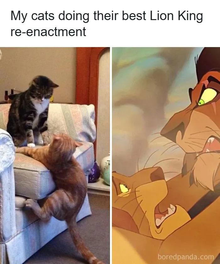 Cats re-enacting Lion King scene on couch in funny old-school cat meme