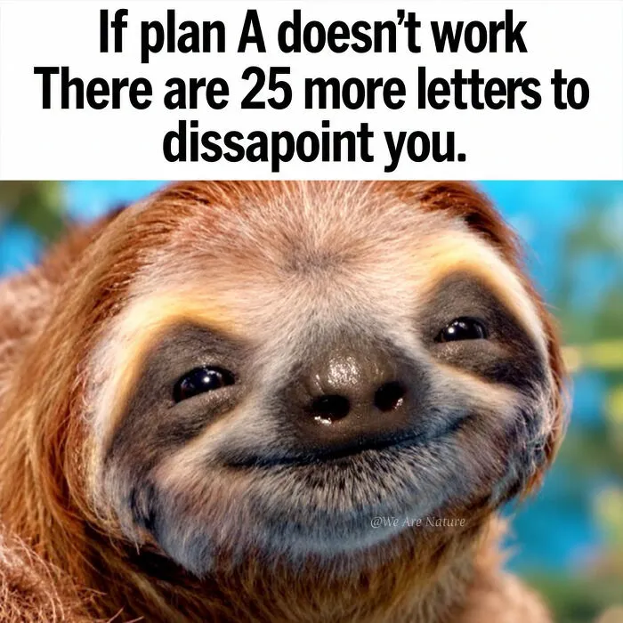 Relatable animal memes show a smiling sloth with funny text about backup plans failing.