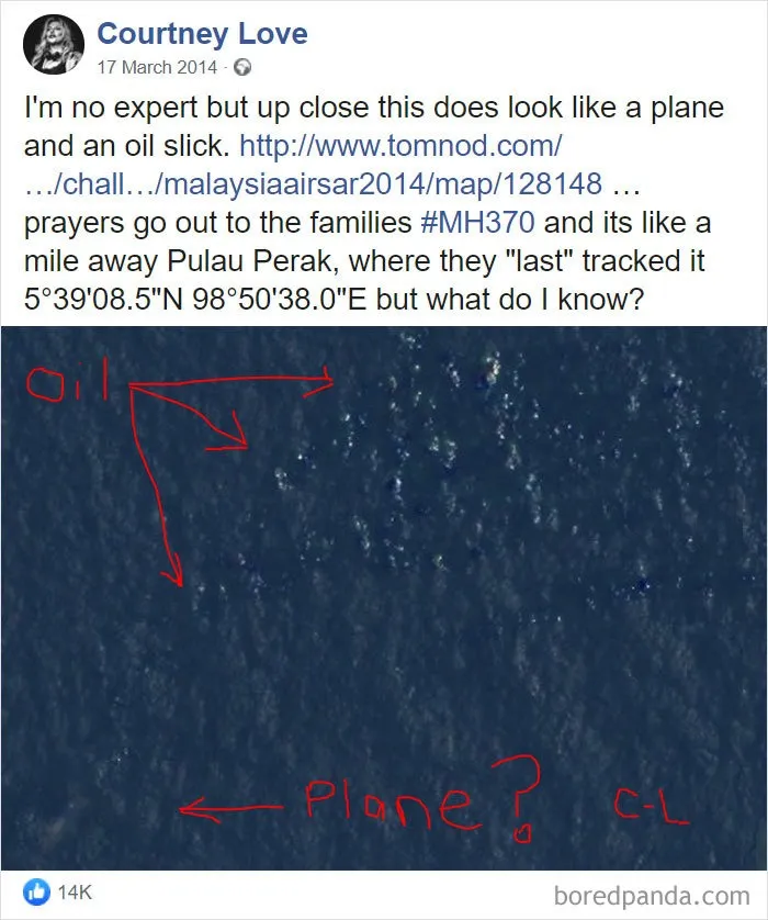 Courtney Love Facebook post about MH370 plane search, showing celebrity social media fails.