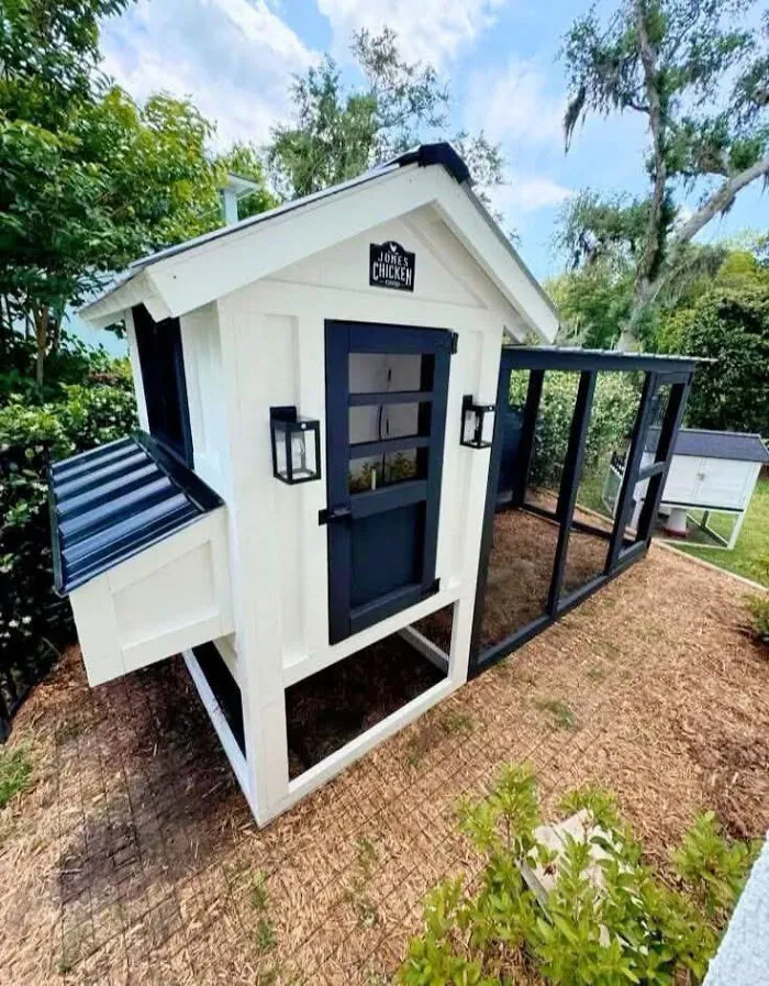 A stylish white and navy chicken coop, showing clever wooden creations in backyard design.