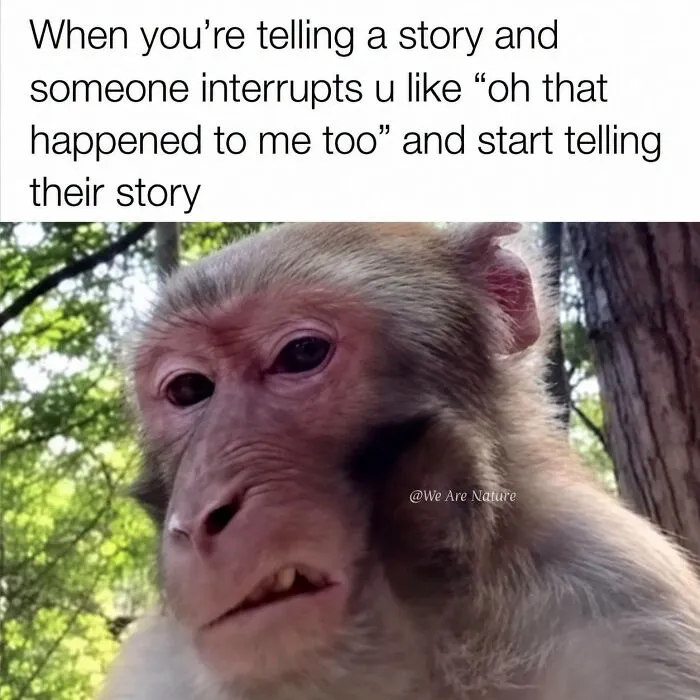 Relatable animal memes feature an annoyed monkey looking sideways when being interrupted.