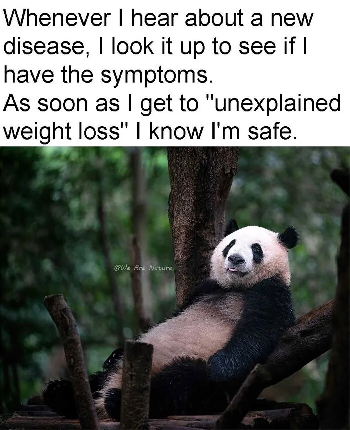 Relatable animal memes with a giant panda resting lazily against a tree trunk