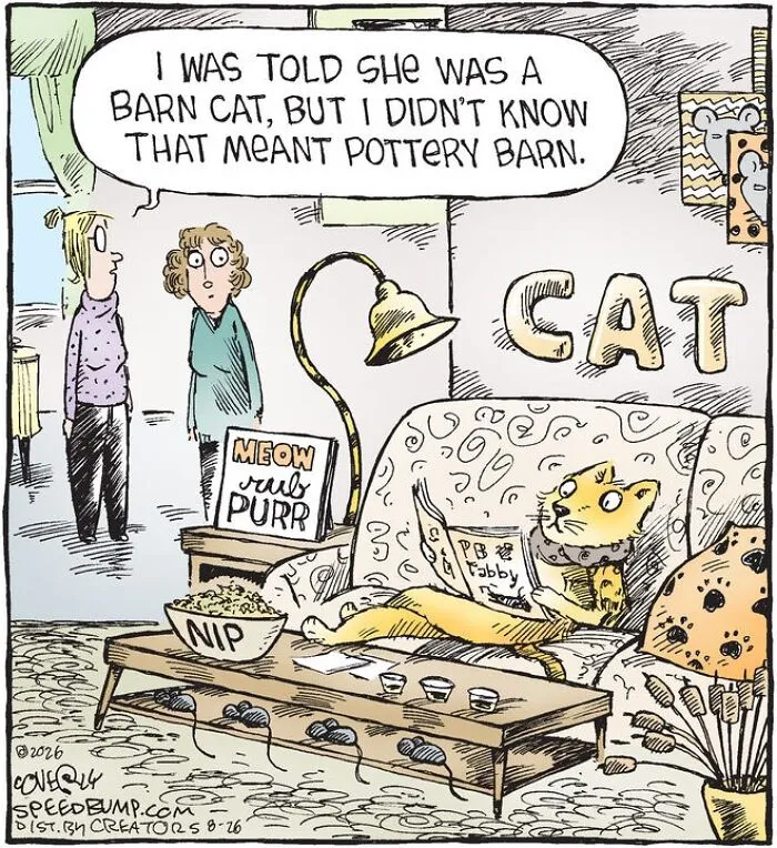 Speed Bump comic showing a fancy cat lounging on a sofa inside a stylish home.