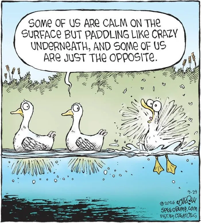 A funny Speed Bump comic featuring ducks swimming in a pond, poking fun at daily life stress.