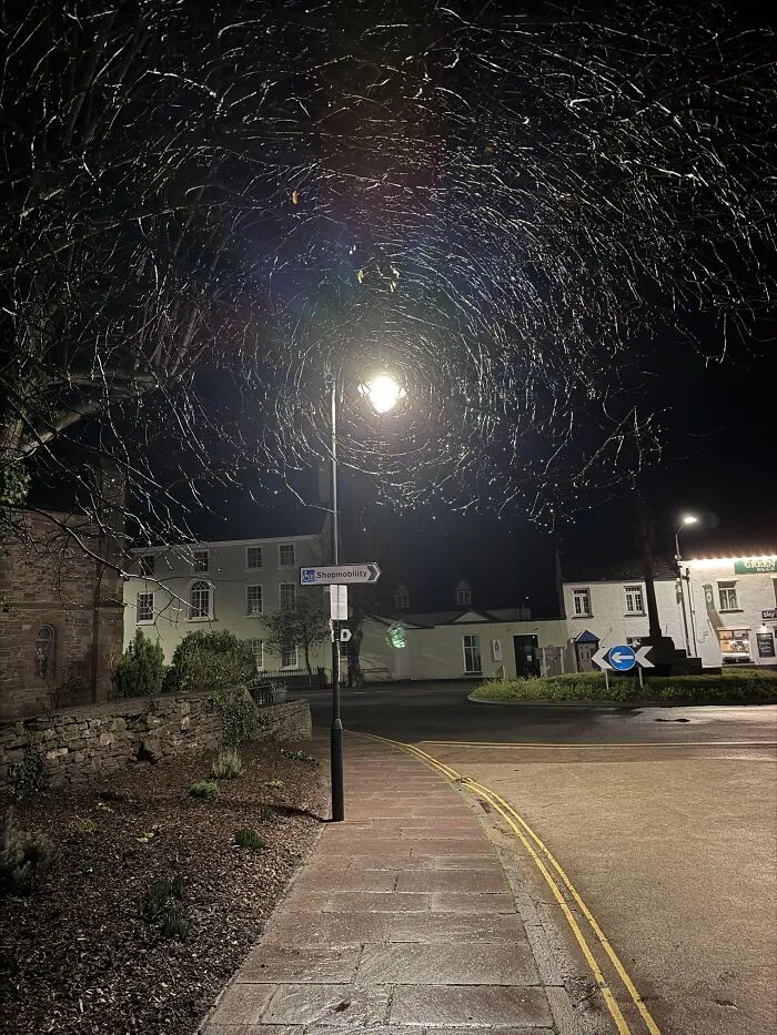 Optical illusion photo of night streetlight glowing through bare tree branches creating a spiderweb effect.