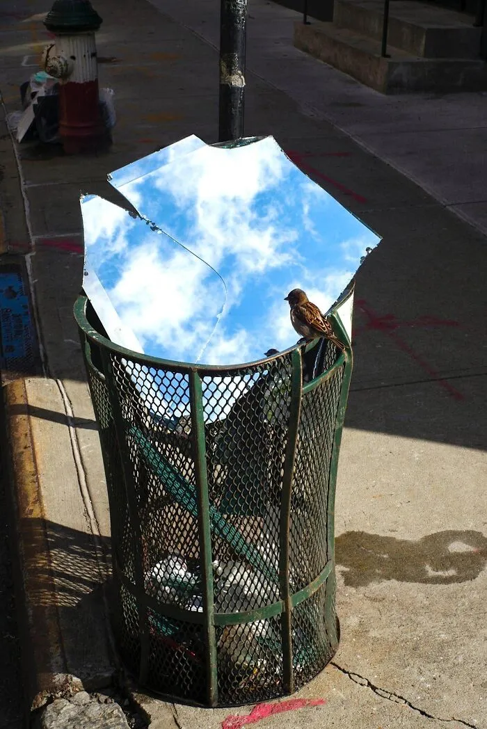 A bird perches on a metal trash bin reflecting the blue sky, one of many photos that play tricks on your eyes.