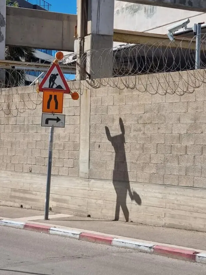Funny photo of street signs casting a shadow that looks like a donkey