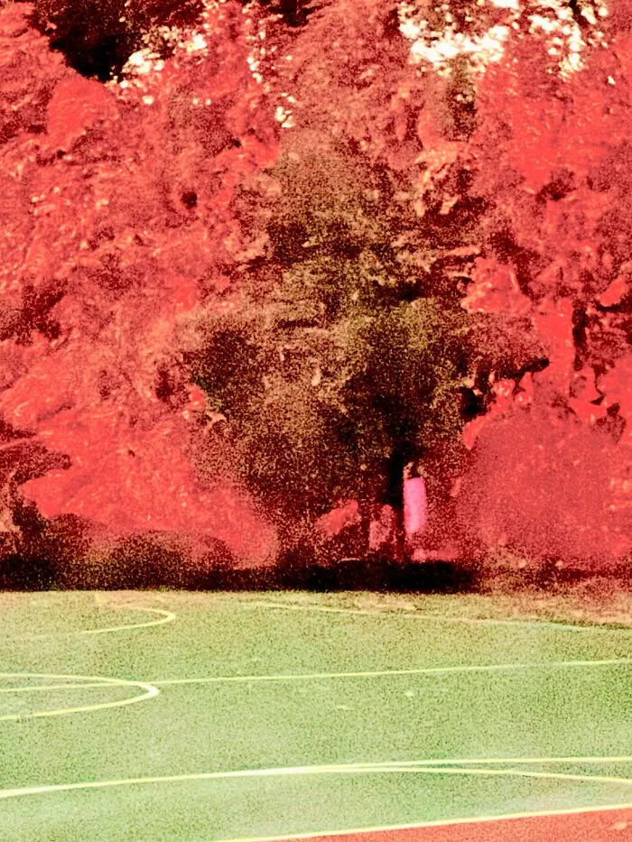 Green sports field with red foliage background making your eyes play tricks