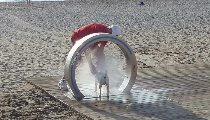 Man washing his dog in a public beach dog shower, an example of ingenious things from around the world
