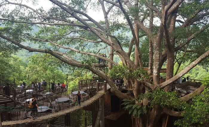 Massive treehouse cafe built around a giant banyan tree representing ingenious things from around the world