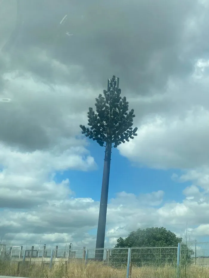 A cell tower disguised as a tree under a cloudy sky, showing ingenious things in various parts of the world.
