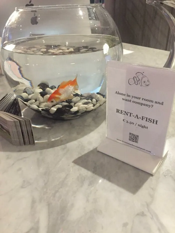 A goldfish bowl in a hotel with a rent-a-fish sign, one of many ingenious things in various parts of the world.