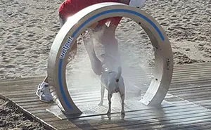 62 Ingenious Things From Around The World the US Could Use Too