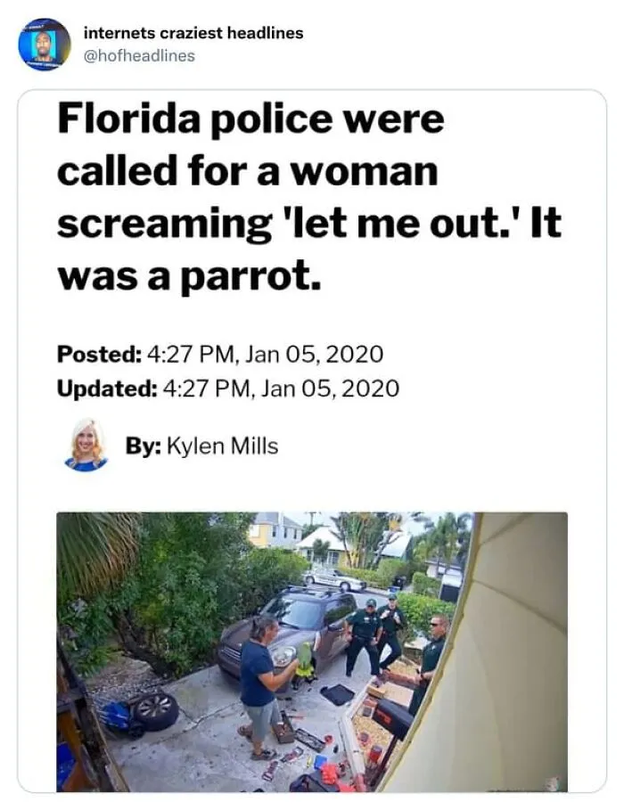 A news headline about Florida police being called for a screaming parrot, representing unhinged news headlines.