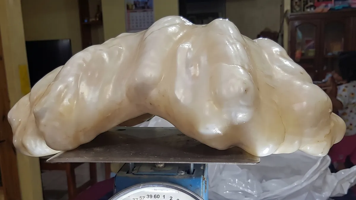 69 Fascinating Photos And Facts That Reveal Just How Strange The World Can Be