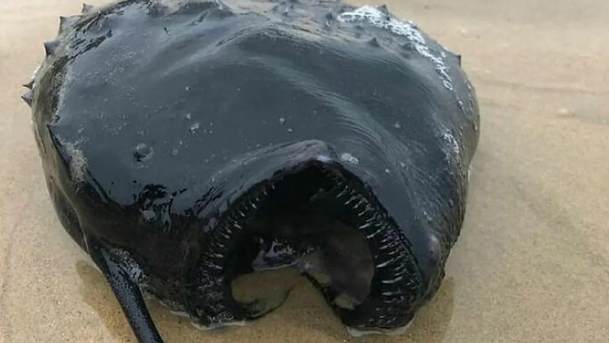 65 Times Folks Experienced Something Really Creepy That They Just Had To Share With Everyone